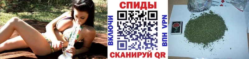 БУТИРАТ буратино Гурьевск