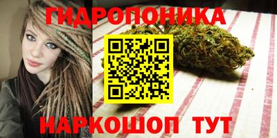 амф Кандалакша