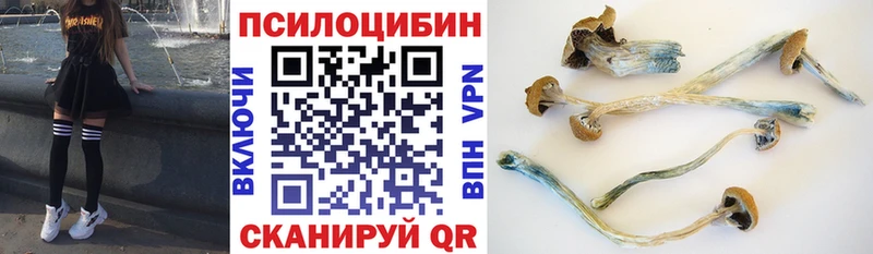 купить наркотики цена Гурьевск Галлюциногенные грибы Cubensis
