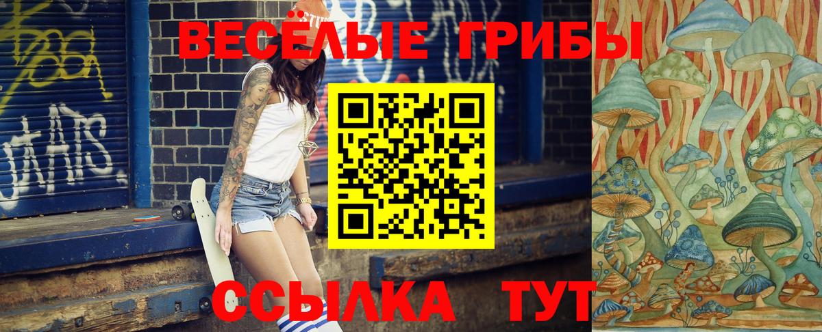 Галлюциногенные грибы Psilocybe Гурьевск