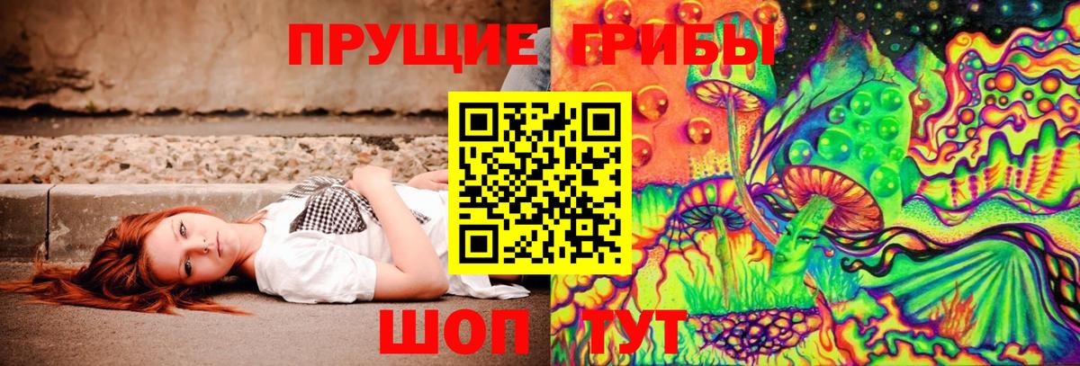 Галлюциногенные грибы MAGIC MUSHROOMS  Вход с VPN  Гурьевск 