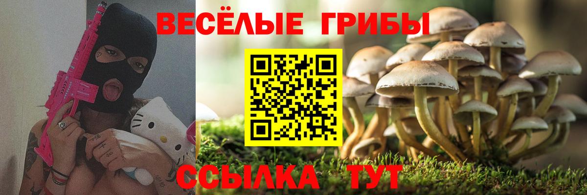где можно купить наркотик  Псилоцибиновые грибы Psilocybe  Вход с VPN  Гурьевск 
